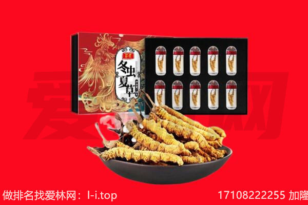 吉安市永新回收虫草.jpg
